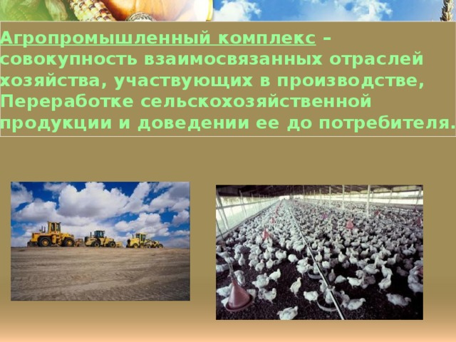 Агропромышленный комплекс – совокупность взаимосвязанных отраслей хозяйства, участвующих в производстве, Переработке сельскохозяйственной продукции и доведении ее до потребителя. 