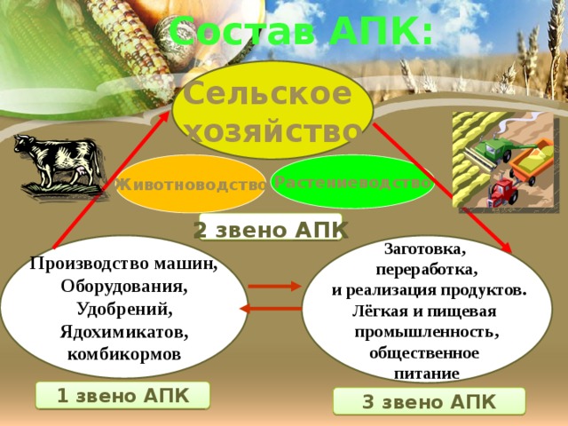 Состав АПК: Сельское хозяйство Животноводство Растениеводство  2 звено АПК Производство машин,  Оборудования, Заготовка, переработка, Удобрений, Ядохимикатов,  и реализация продуктов. Лёгкая и пищевая комбикормов промышленность, общественное питание  1 звено АПК 3 звено АПК 
