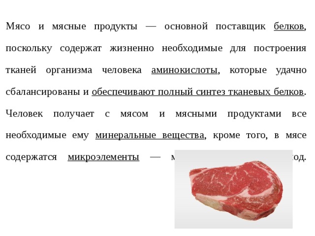   Мясо и мясные продукты — основной поставщик белков , поскольку содержат жизненно необходимые для построения тканей организма человека аминокислоты , которые удачно сбалансированы и обеспечивают полный синтез тканевых белков .  Человек получает с мясом и мясными продуктами все необходимые ему минеральные вещества , кроме того, в мясе содержатся микроэлементы — медь, кобальт, цинк, йод.    
