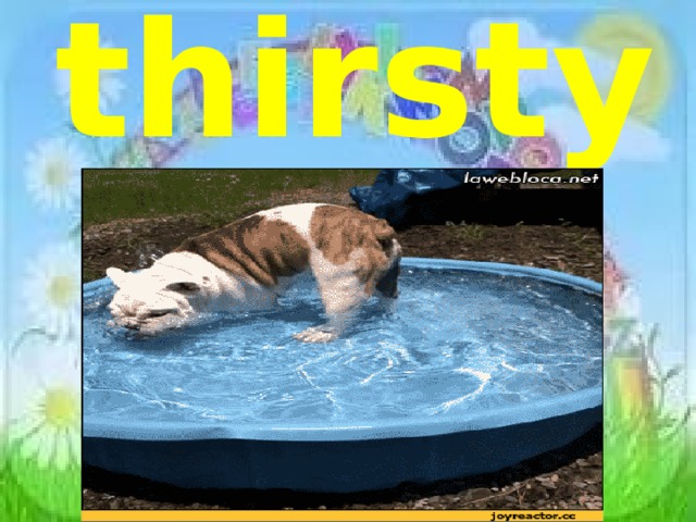 thirsty 