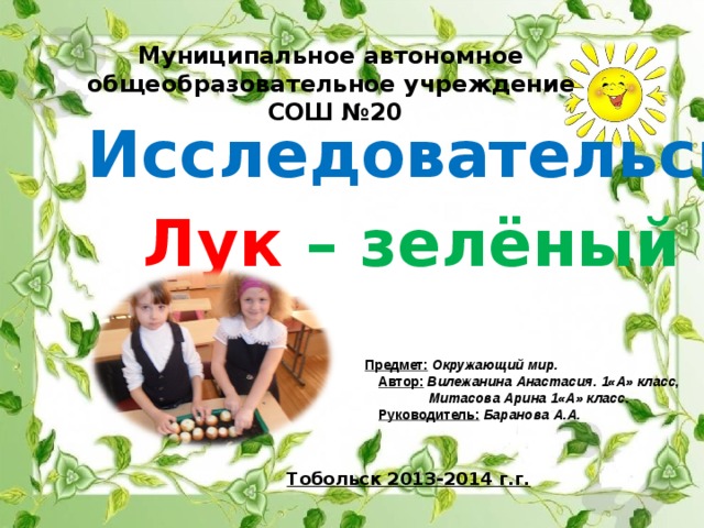 Муниципальное автономное общеобразовательное учреждение СОШ №20 Исследовательская работа: Лук  – зелёный друг.  Предмет:  Окружающий мир.  Автор:  Вилежанина Анастасия. 1«А» класс,  Митасова Арина 1«А» класс.  Руководитель:  Баранова А.А. Тобольск 2013-2014 г.г. 