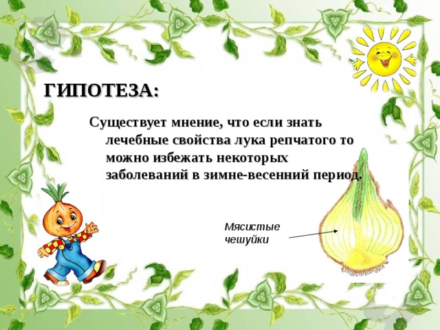 ГИПОТЕЗА: Существует мнение, что если знать лечебные свойства лука репчатого то можно избежать некоторых заболеваний в зимне-весенний период. Мясистые чешуйки  