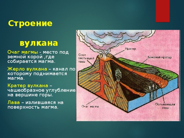 Строение вулкана Очаг магмы - место под земной корой ,где собирается магма. Жерло вулкана – канал по которому поднимается магма. Кратер вулкана – чашеобразное углубление на вершине горы. Лава – излившаяся на поверхность магма. 
