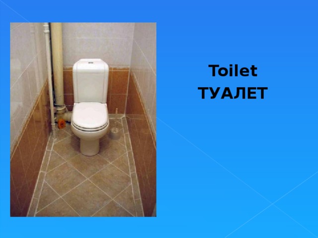 Toilet ТУАЛЕТ  