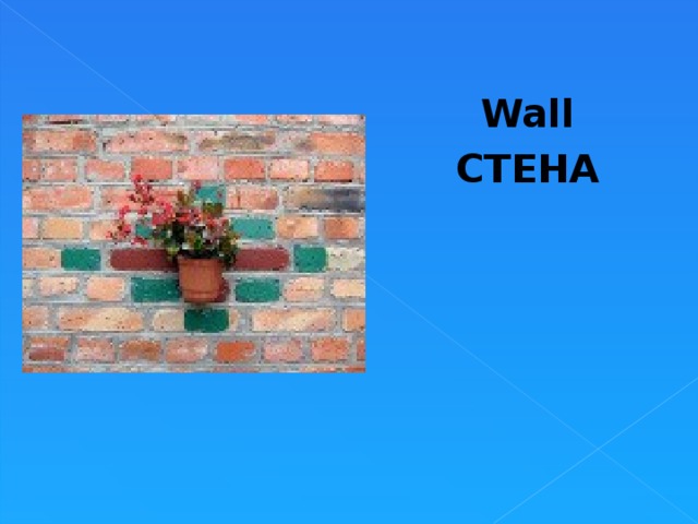 Wall СТЕНА  