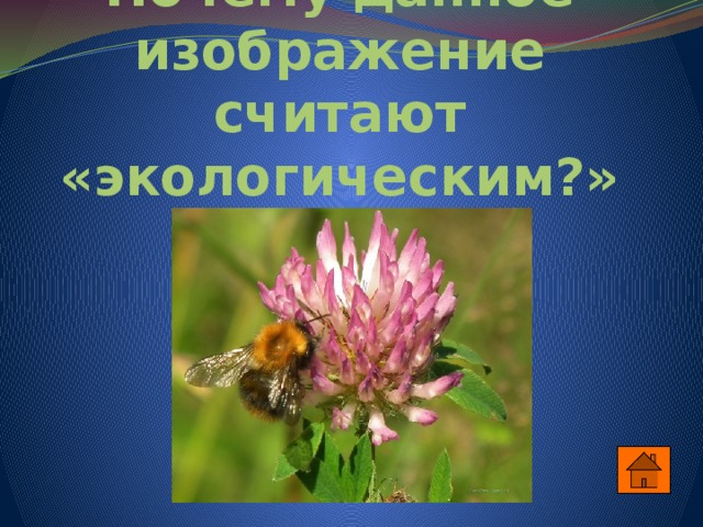 Почему данное изображение считают «экологическим?» 