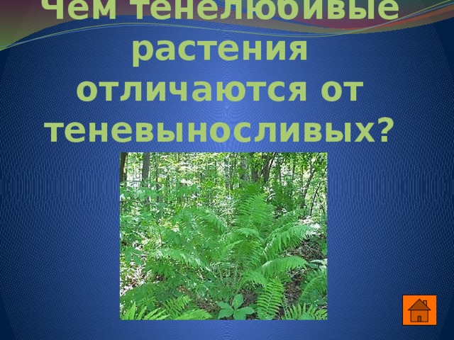 Чем тенелюбивые растения отличаются от теневыносливых? 
