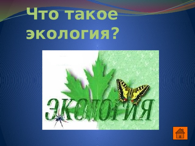 Что такое экология? 