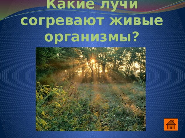 Какие лучи согревают живые организмы? 