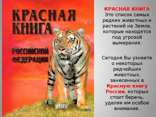 КРАСНАЯ КНИГА  Это список самых редких животных и растений на Земле, которые находятся под угрозой вымирания.   Сегодня Вы узнаете о некоторых редчайших животных, занесенных в Красную книгу России , которых стоит беречь, уделяя им особое внимание. 