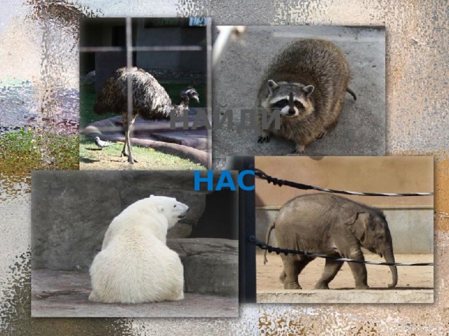 НАЙДИ НАС 