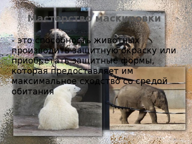 Мастерство маскировки - это способность животных производить защитную окраску или приобретать защитные формы, которая предоставляет им максимальное сходство со средой обитания   