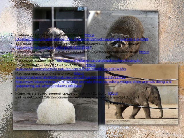 Шаблон для презентации «Животные» http:// lotoskay.ucoz.ru/load/shablony_dlja_prezentacij/zhivotnye/zhivotnye/146-1-0-4088 16 удивительных животных, которые, маскируясь, слились с природой http://www.kulturologia.ru/blogs/090815/25697 /  Природный камуфляж. Примеры удивительной маскировки животных http:// 4tololo.ru/content/5519  Маскировка животных http://www.myplanet-ua.com/maskirovka-zhivotnyih / Яркие примеры камуфляжа животных :  http:// re-actor.net/animals/9630-natures-camouflage.html#ixzz3J8YCWXhs Мастера природного камуфляжа http:// re-actor.net/animals/9630-natures-camouflage.html#ixzz3J8Y22M26 http://www.lebanontimes.com/invisible-animals-these-incredible-images-show-animals-doing-a-disappearing-act-when-predators-are-near / Животные в естественной среде обитания / 21 фото http:// vintika.net/foto/2758-zhivotnye-v-estestvennoy-srede-obitaniya-21-foto.html  