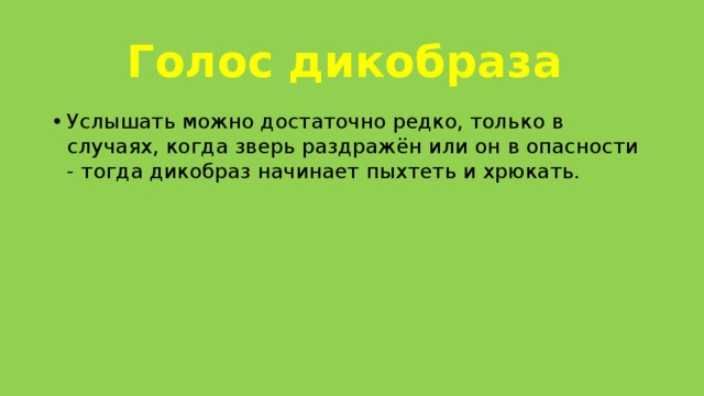 Голос дикобраза Услышать можно достаточно редко, только в случаях, когда зверь раздражён или он в опасности - тогда дикобраз начинает пыхтеть и хрюкать. 