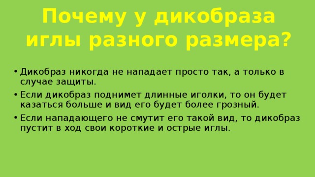 Почему у дикобраза иглы разного размера? Дикобраз никогда не нападает просто так, а только в случае защиты. Если дикобраз поднимет длинные иголки, то он будет казаться больше и вид его будет более грозный. Если нападающего не смутит его такой вид, то дикобраз пустит в ход свои короткие и острые иглы. 