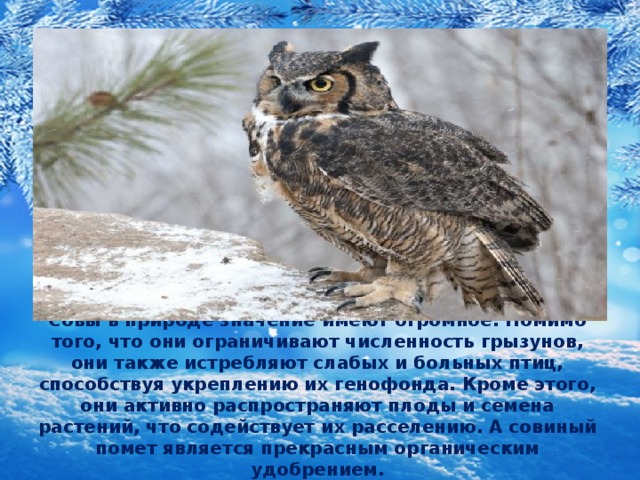 Совы в природе значение имеют огромное. Помимо того, что они ограничивают численность грызунов, они также истребляют слабых и больных птиц, способствуя укреплению их генофонда. Кроме этого, они активно распространяют плоды и семена растений, что содействует их расселению. А совиный помет является прекрасным органическим удобрением. 