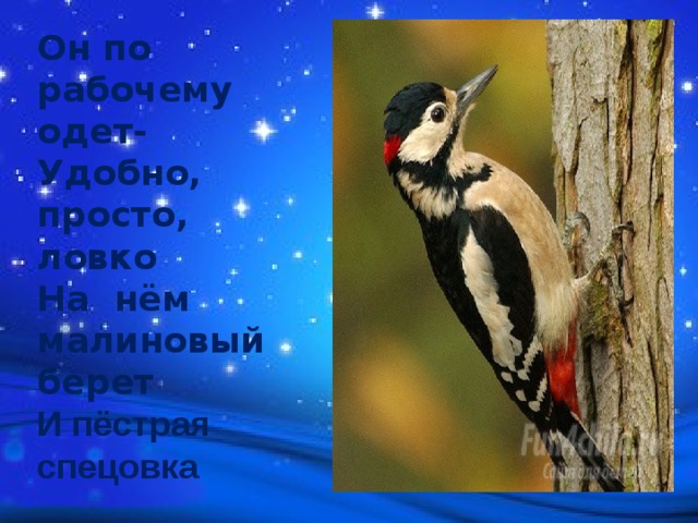 Он по рабочему одет- Удобно, просто, ловко На нём малиновый берет И пёстрая спецовка  