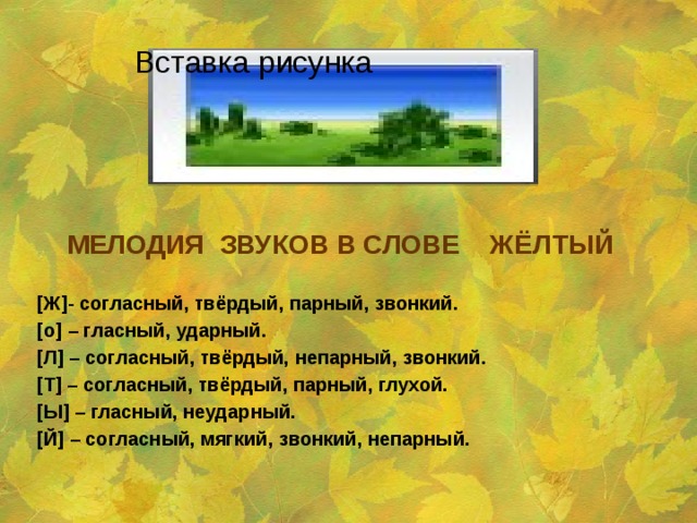 Вставка рисунка МЕЛОДИЯ ЗВУКОВ В СЛОВЕ ЖЁЛТЫЙ  [Ж]- согласный, твёрдый, парный, звонкий. [о] – гласный, ударный. [Л] – согласный, твёрдый, непарный, звонкий. [Т] – согласный, твёрдый, парный, глухой. [Ы] – гласный, неударный. [Й] – согласный, мягкий, звонкий, непарный.   