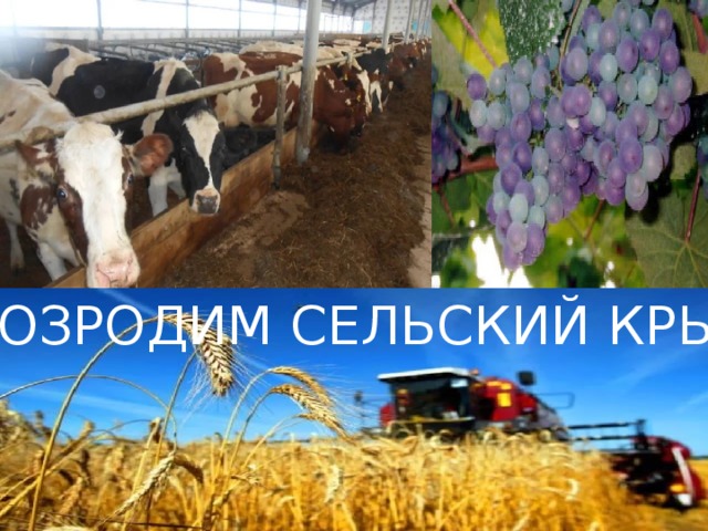  ВОЗРОДИМ СЕЛЬСКИЙ КРЫМ 