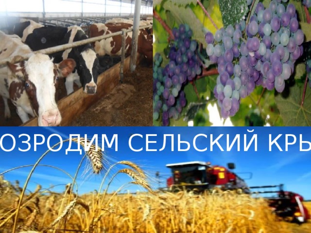  ВОЗРОДИМ СЕЛЬСКИЙ КРЫМ 