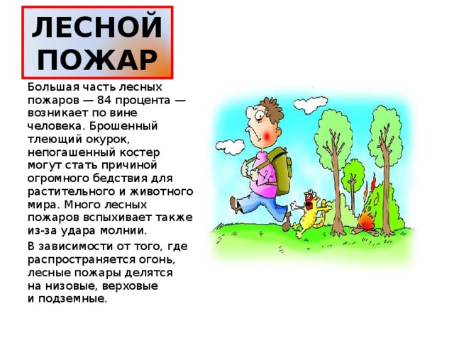 ЛЕСНОЙ ПОЖАР Большая часть лесных пожаров — 84 процента — возникает по вине человека. Брошенный тлеющий окурок, непогашенный костер могут стать причиной огромного бедствия для растительного и животного мира. Много лесных пожаров вспыхивает также из-за удара молнии. В зависимости от того, где распространяется огонь, лесные пожары делятся на низовые, верховые и подземные. 