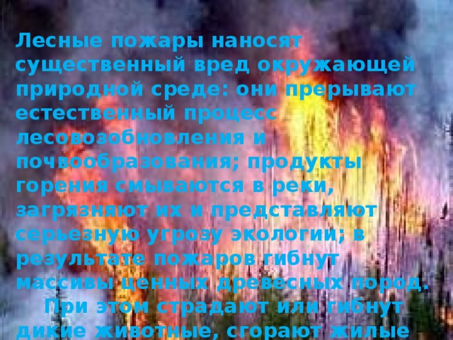 Лесные пожары наносят существенный вред окружающей природной среде: они прерывают естественный процесс лесовозобновления и почвообразования; продукты горения смываются в реки, загрязняют их и представляют серьезную угрозу экологии; в результате пожаров гибнут массивы ценных древесных пород.  При этом страдают или гибнут дикие животные, сгорают жилые дома и другие постройки, погибают люди. 