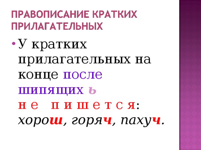 У кратких прилагательных на конце после шипящих  ь    н е   п и ш е т с я : хоро ш , горя ч , паху ч .  