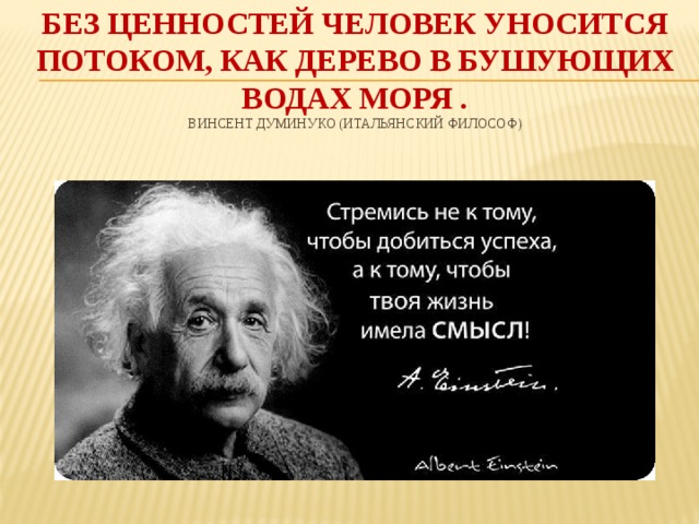Без ценностей человек уносится потоком, как дерево в бушующих водах моря .  Винсент Думинуко (итальянский философ) 