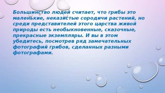Большинство людей считает, что грибы это маленькие, неказистые сородичи растений, но среди представителей этого царства живой природы есть необыкновенные, сказочные, прекрасные экземпляры. И вы в этом убедитесь, посмотрев ряд замечательных фотографий грибов, сделанных разными фотографами. 