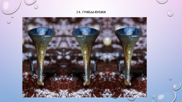 24. Грибы-кубки   
