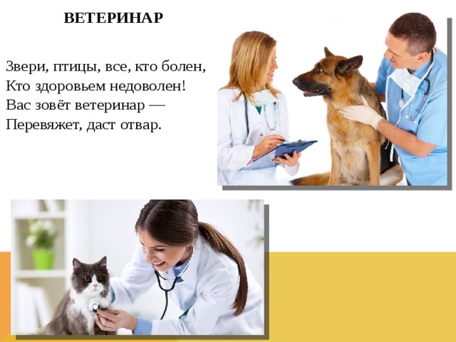ВЕТЕРИНАР  Звери, птицы, все, кто болен,  Кто здоровьем недоволен!  Вас зовёт ветеринар —  Перевяжет, даст отвар.  