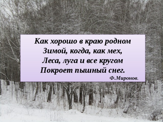 Как хорошо в краю родном Зимой, когда, как мех, Леса, луга и все кругом Покроет пышный снег.  Ф.Миронов . 