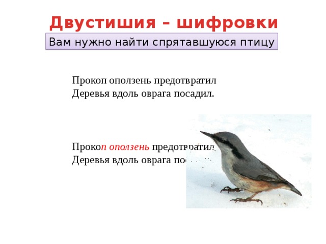 Двустишия – шифровки Вам нужно найти спрятавшуюся птицу Прокоп оползень предотвратил  Деревья вдоль оврага посадил. Проко п оползень предотвратил  Деревья вдоль оврага посадил. 