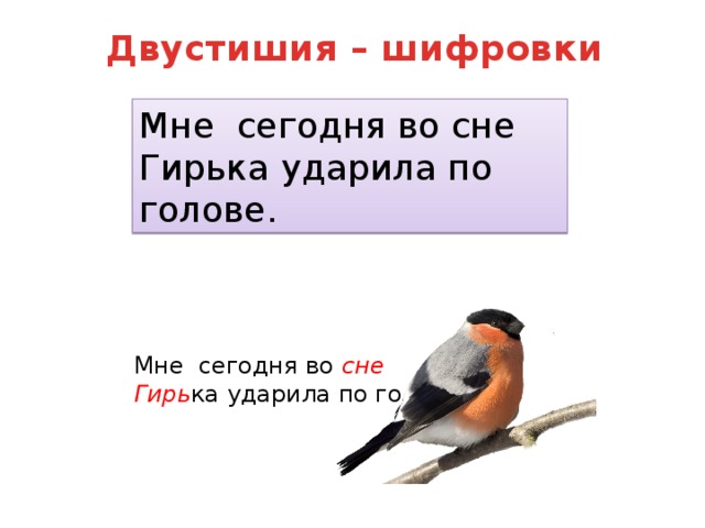 Двустишия – шифровки Мне  сегодня во сне  Гирька ударила по голове. Мне  сегодня во сне  Гирь ка ударила по голове. 