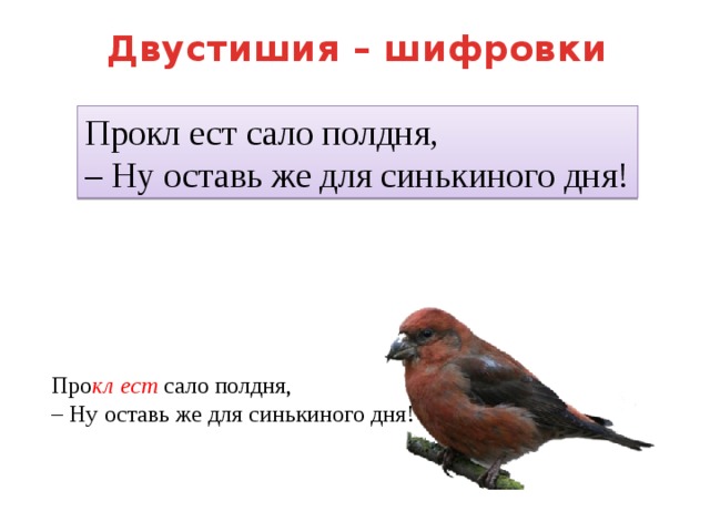 Двустишия – шифровки Прокл ест сало полдня,  – Ну оставь же для синькиного дня! Про кл  ест сало полдня,  – Ну оставь же для синькиного дня! 