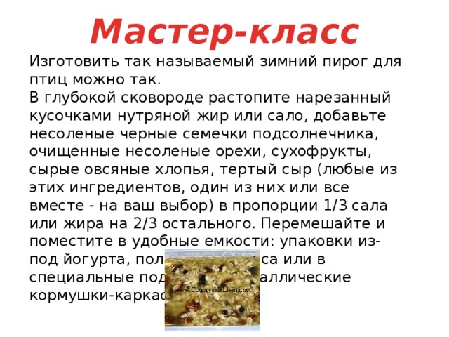 Мастер-класс  Изготовить так называемый зимний пирог для птиц можно так.  В глубокой сковороде растопите нарезанный кусочками нутряной жир или сало, добавьте несоленые черные семечки подсолнечника, очищенные несоленые орехи, сухофрукты, сырые овсяные хлопья, тертый сыр (любые из этих ингредиентов, один из них или все вместе - на ваш выбор) в пропорции 1/3 сала или жира на 2/3 остального. Перемешайте и поместите в удобные емкости: упаковки из-под йогурта, половинки кокоса или в специальные подвесные металлические кормушки-каркасы.   
