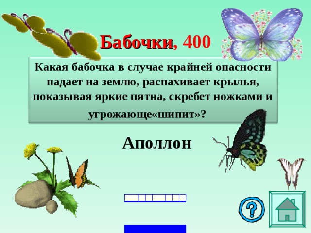 Бабочки , 4 00 Какая бабочка в случае крайней опасности падает на землю, распахивает крылья, показывая яркие пятна, скребет ножками и угрожающе«шипит»?    Аполлон