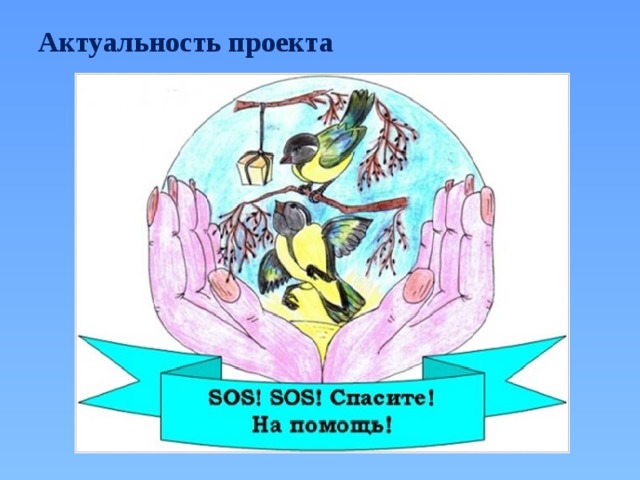Актуальность проекта 