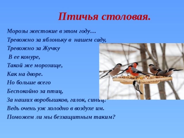 Птичья столовая. Морозы жестокие в этом году… Тревожно за яблоньку в нашем саду, Тревожно за Жучку  В ее конуре, Такой же морозище, Как на дворе. Но больше всего Беспокойно за птиц, За наших воробышков, галок, синиц: Ведь очень уж холодно в воздухе им. Поможем ли мы беззащитным таким? 