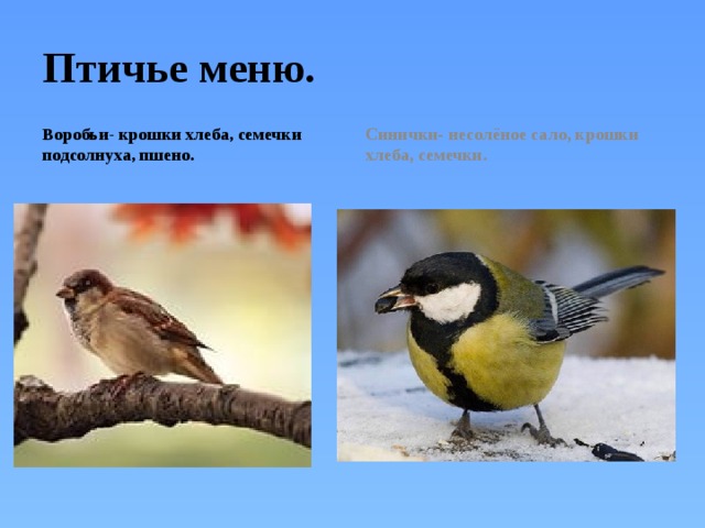 Птичье меню. Воробьи- крошки хлеба, семечки подсолнуха, пшено. Синички- несолёное сало, крошки хлеба, семечки. 