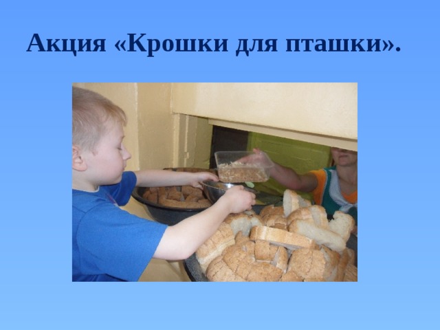 Акция «Крошки для пташки». 