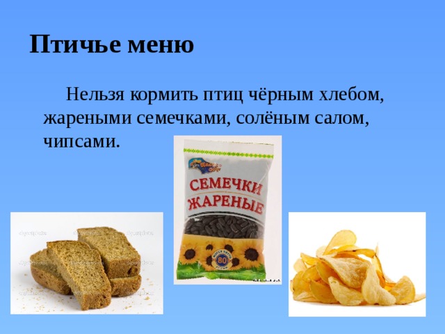 Птичье меню   Нельзя кормить птиц чёрным хлебом, жареными семечками, солёным салом, чипсами. 