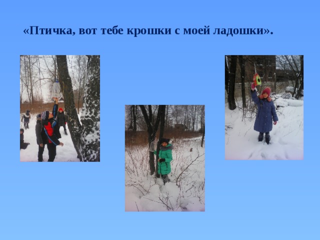 «Птичка, вот тебе крошки с моей ладошки». 