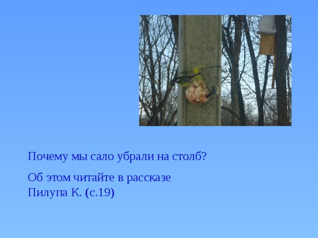 Почему мы сало убрали на столб? Об этом читайте в рассказе Пилупа К. (с.19) 