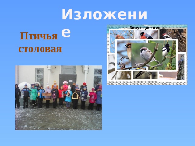 Изложение Птичья  столовая  