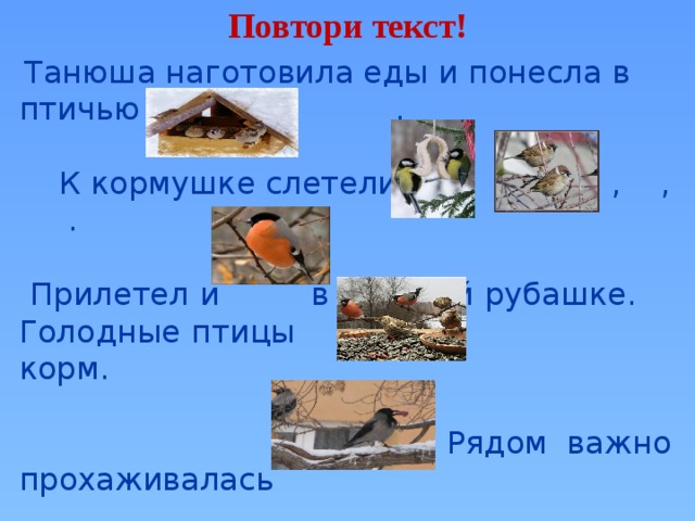Повтори текст!  Танюша наготовила еды и понесла в птичью .  К кормушке слетелись , , , .  Прилетел и в красной рубашке. Голодные птицы корм.  Рядом важно прохаживалась  , ,  дожидаясь своей очереди .  