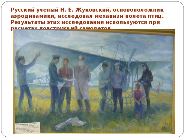Русский ученый Н. Е. Жуковский, основоположник аэродинамики, исследовал механизм полета птиц. Результаты этих исследовании используются при расчетах конструкций самолетов 