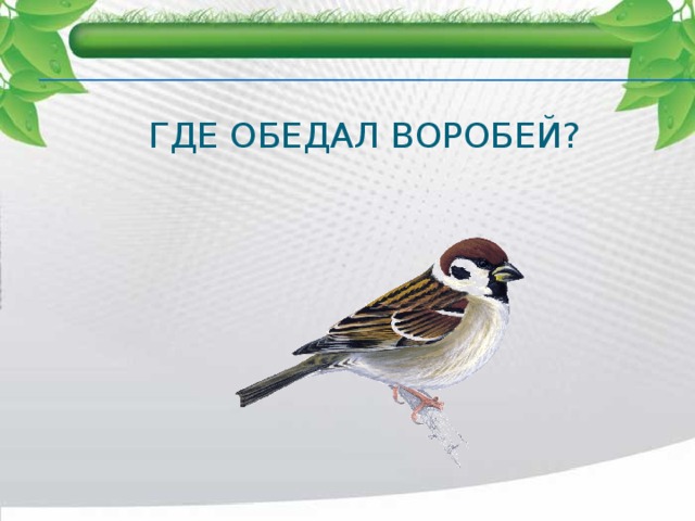 Где обедал воробей? 