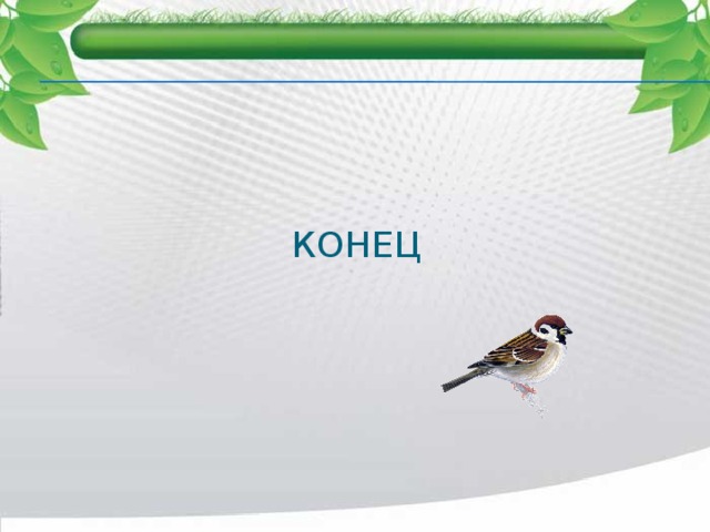 КОНЕЦ 