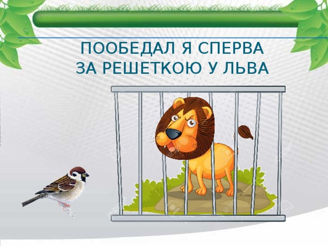 Пообедал я сперва  за решеткою у льва 